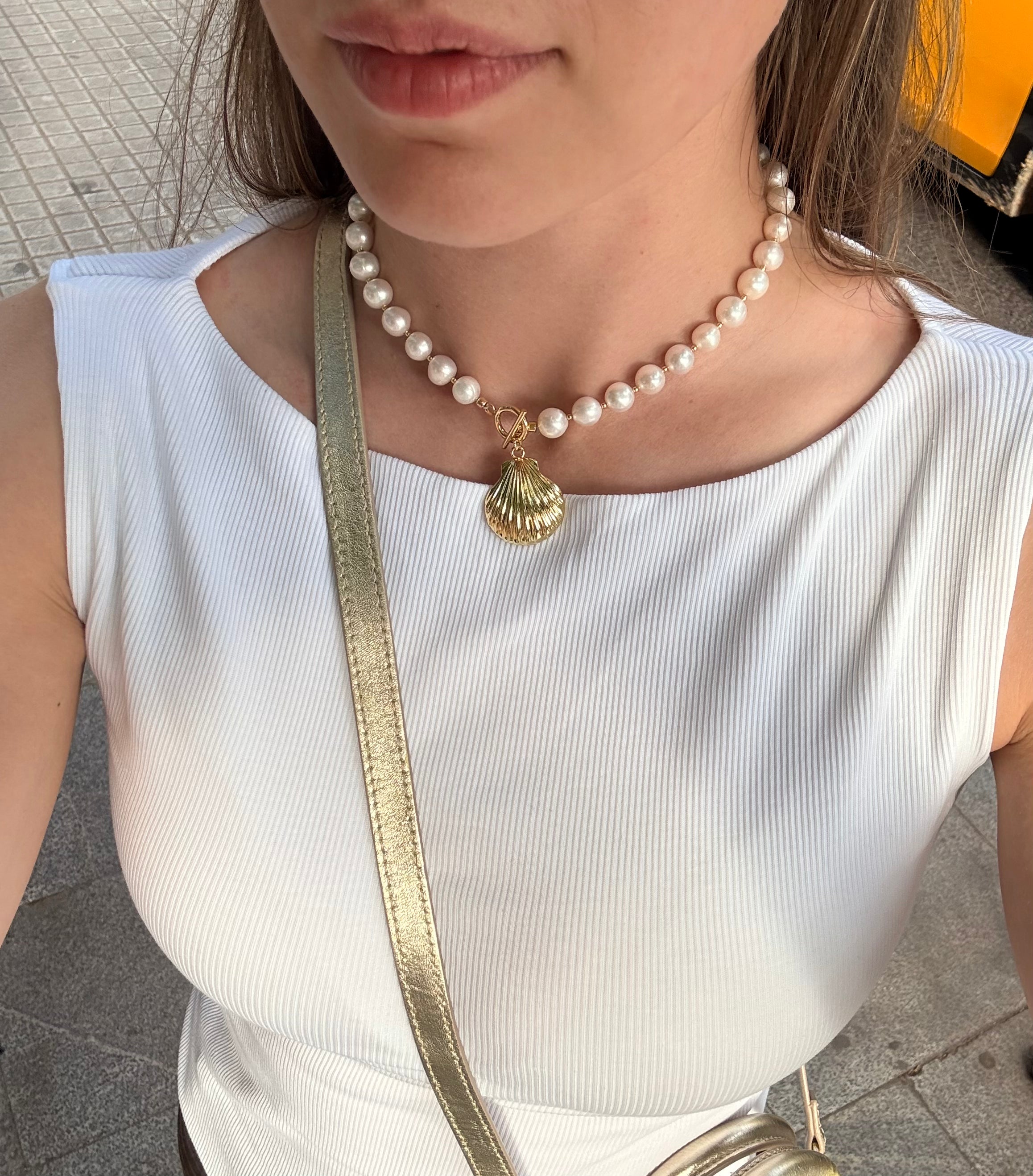 The Seashell Necklace